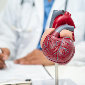 Kardiologie
